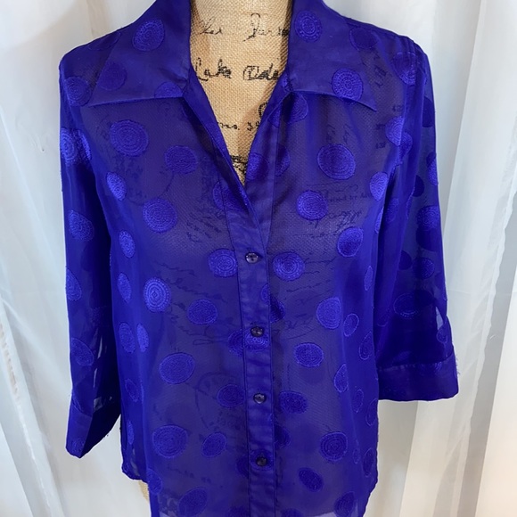 Dana Gibson Sheer Retro Blue Polka Dot Button Down Top M - Picture 3 of 12